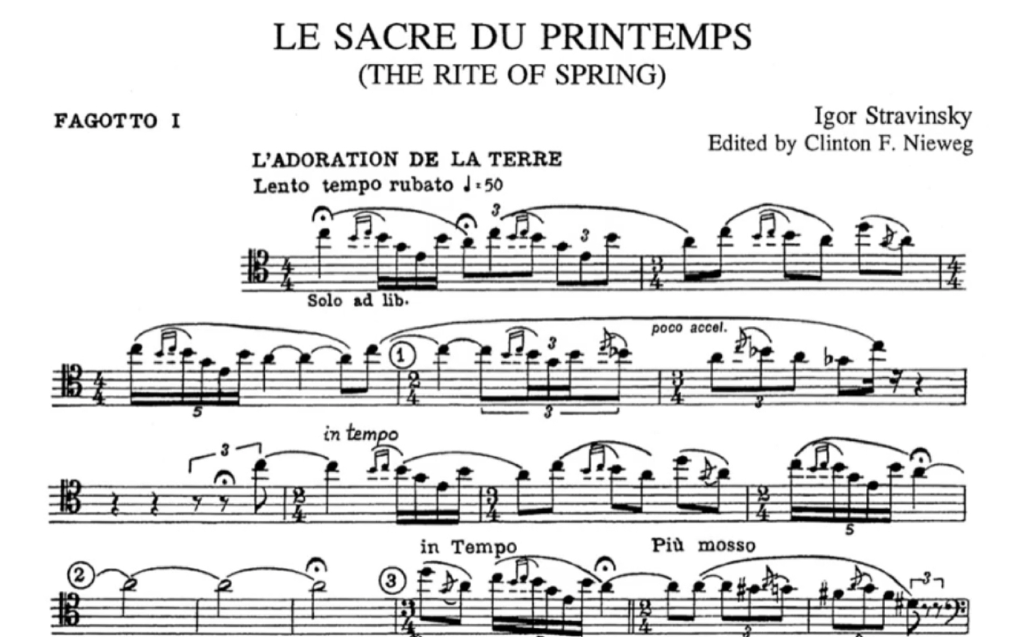 巴松乐队困难片段春之祭费加罗的婚礼天方夜谭波莱罗舞曲