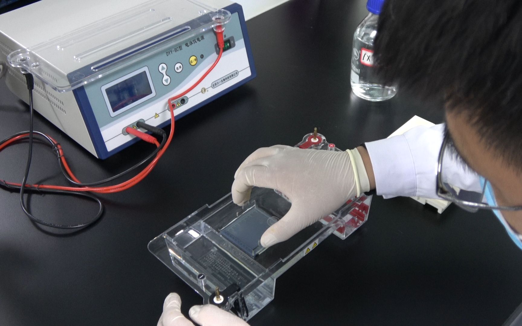 琼脂糖凝胶电泳技术_哔哩哔哩 (゜-゜)つロ 干杯~-bilibili