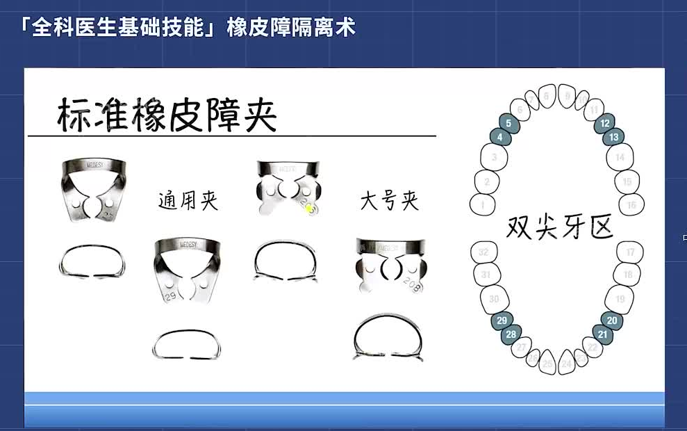 全科口腔医生基本技能—学牙(共15节)哔哩哔哩bilibili