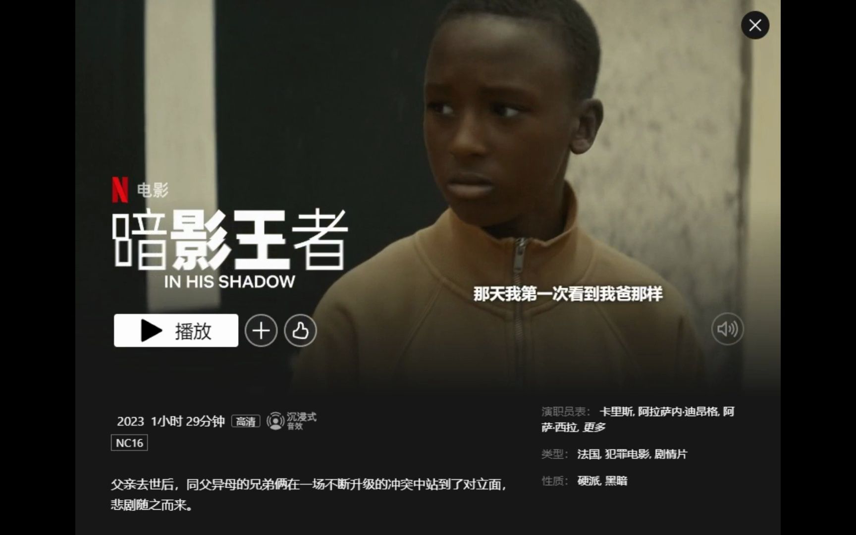 [图]Netflix硬汉黑暗篇2023年4月荐《暗影王者》