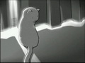 【新海诚】她和她的猫