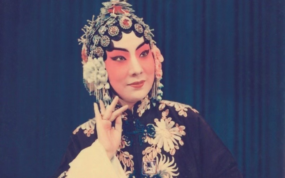 【兜风的乌龟】荒山泪西皮慢板