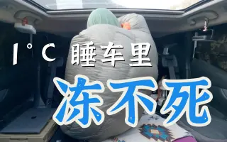 车中泊 搜索结果 哔哩哔哩 Bilibili