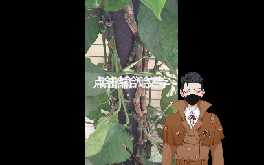 6.3植物记录1哔哩哔哩bilibili