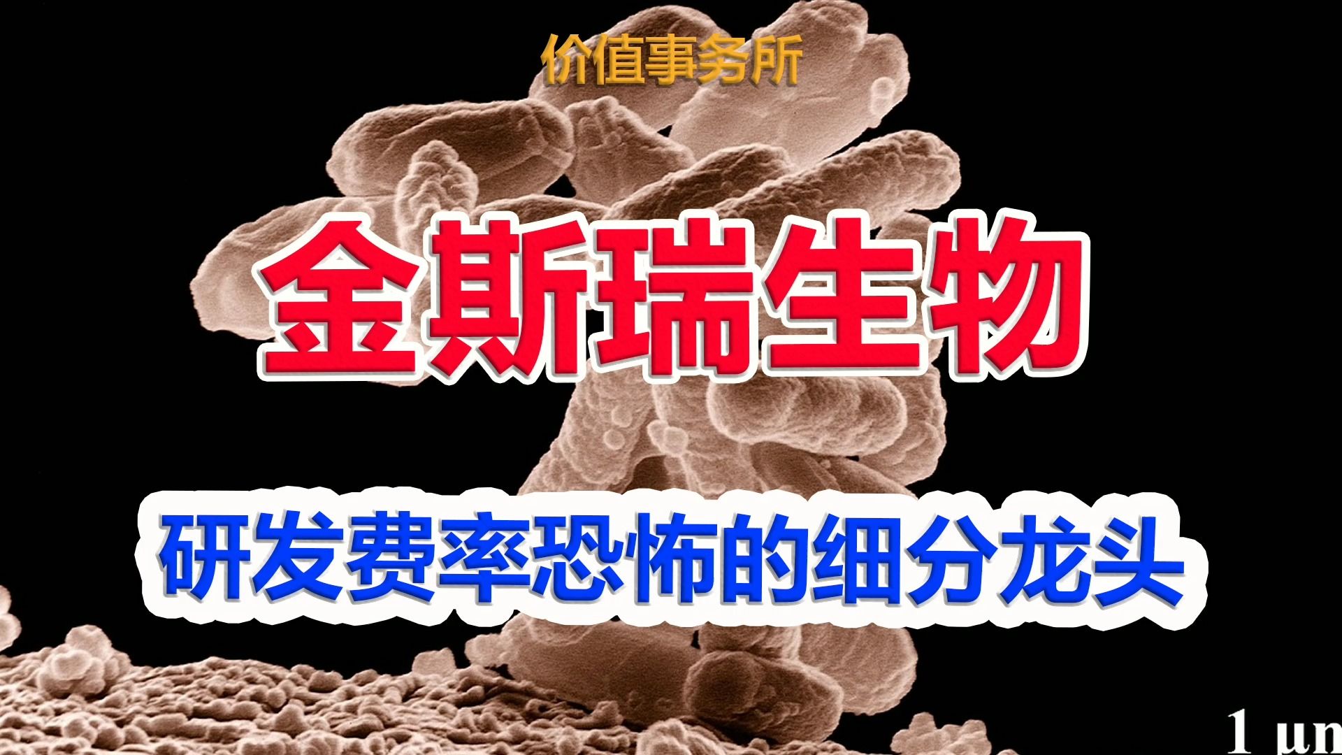 【金斯瑞生物科技】见底了,开始剧烈反弹,跨国药企强生都抢着合作,研发费率恐怖的细分龙头|价值事务所哔哩哔哩bilibili