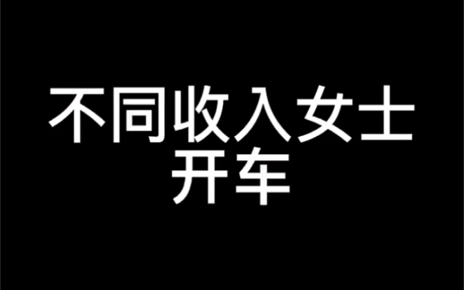 [图]不同收入女士开车