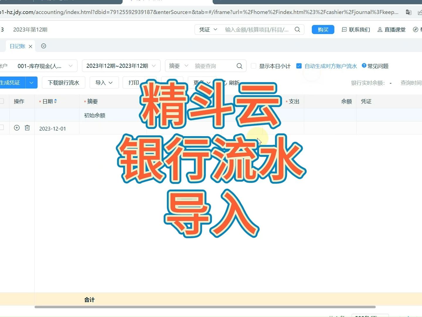 金蝶精斗云银行流水导入哔哩哔哩bilibili