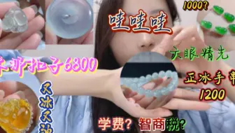 不看绝对遗憾的一期，你们来说是学费还是智商税？