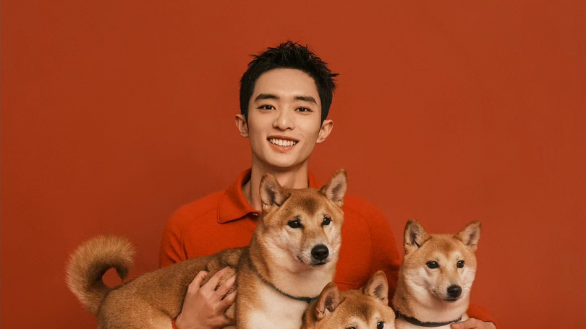 白宇帆的八字分析