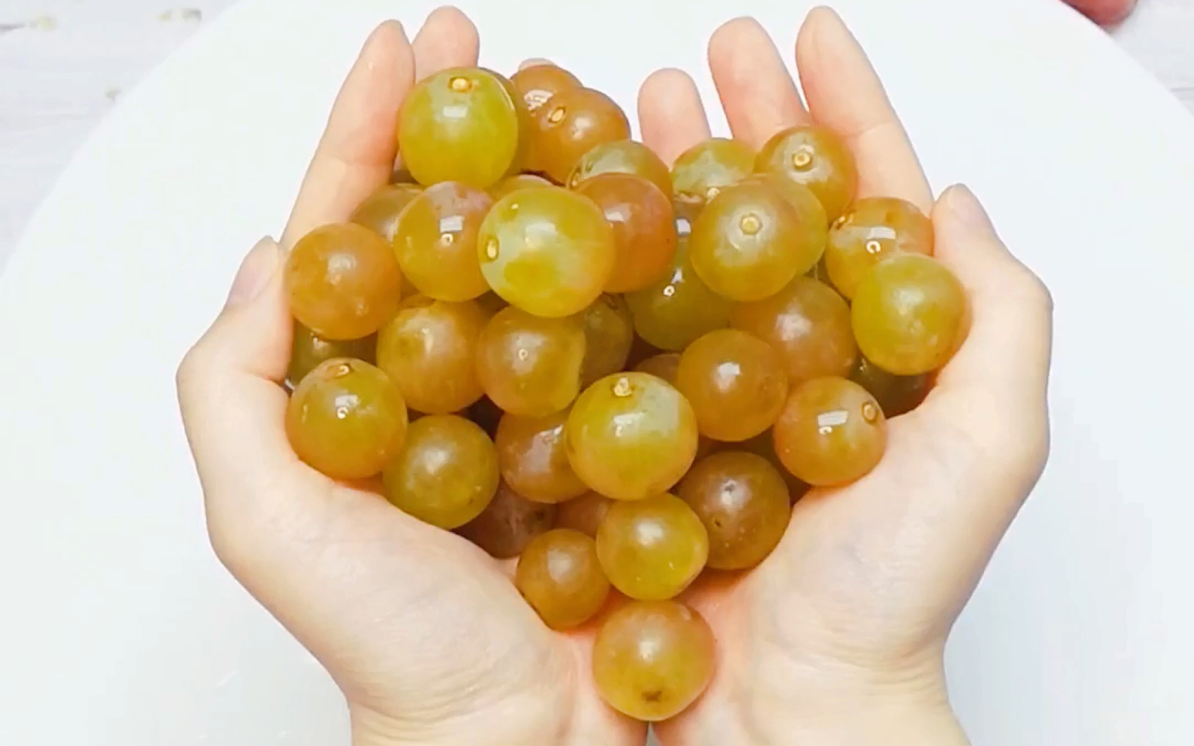 你好,我叫慕美人,是人类培育的最古老的葡萄之一,也是智利拥有的独特