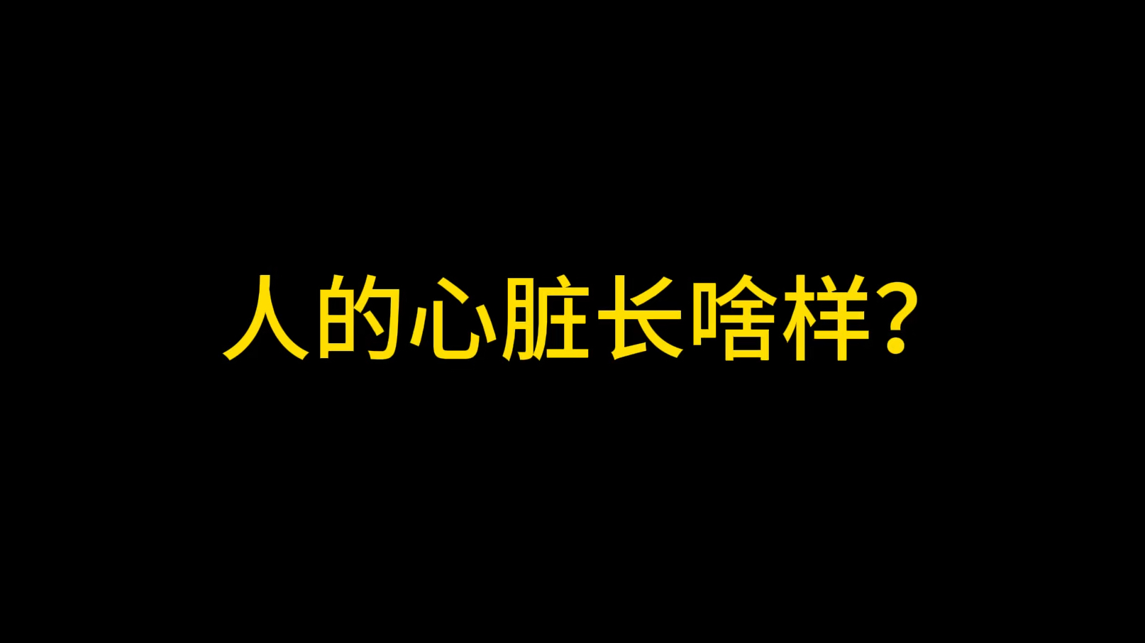 法医科普~人的心脏长啥样?哔哩哔哩bilibili