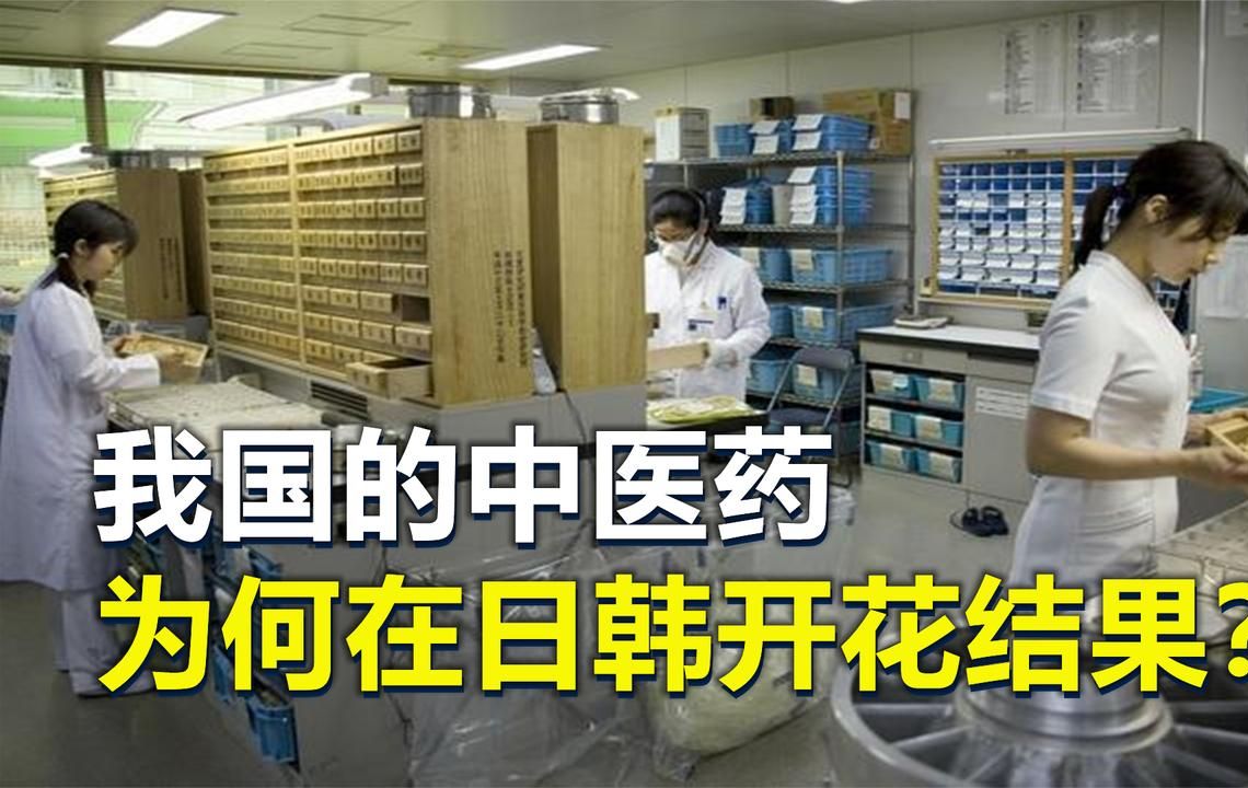 我国的中医药文化,为何在日韩开花结果?哔哩哔哩bilibili