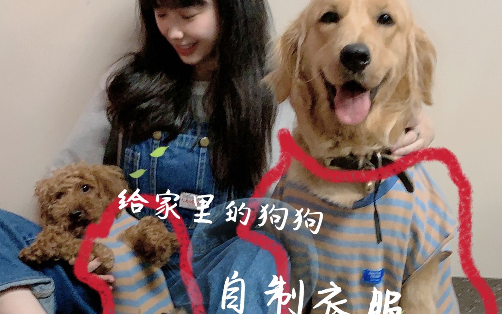 教你用旧衣服给狗狗制作衣服~好看又好玩~~哔哩哔哩bilibili