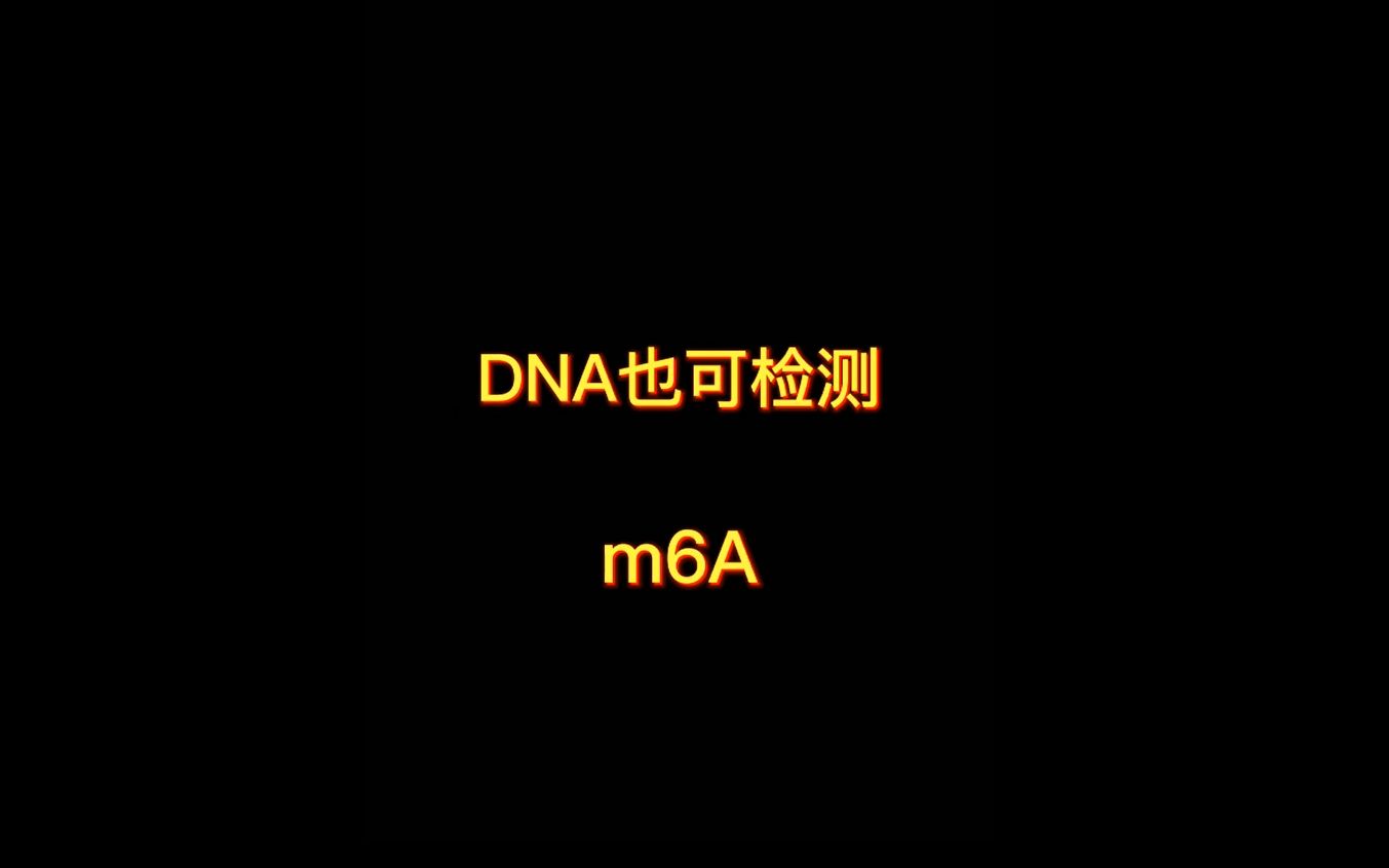 m6A DNA甲基化定量检测试剂盒(比色法)哔哩哔哩bilibili