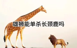 雄狮能单杀长颈鹿吗