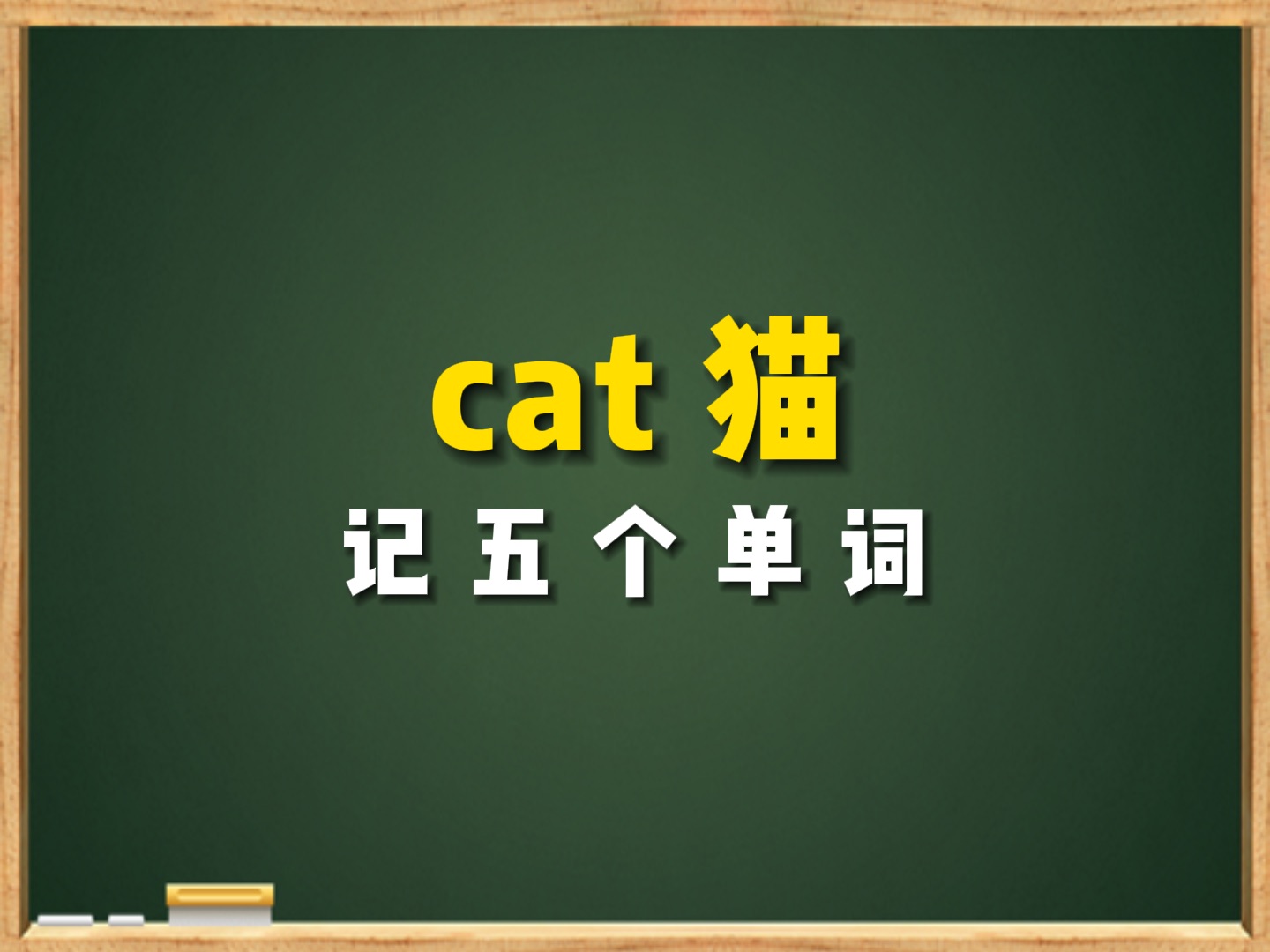 用“猫”cat记五个单词哔哩哔哩bilibili