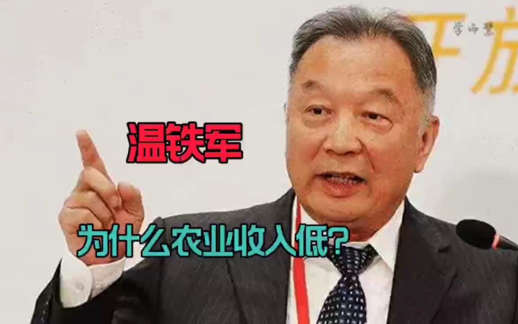 温铁军:为什么农业收入低?哔哩哔哩bilibili