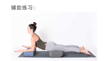 瑜伽英语 sphinx pose 狮身人面式哔哩哔哩bilibili