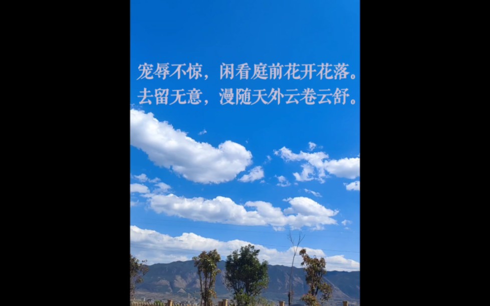 宠辱不惊, 闲看庭前花开花落. 去留无意,漫随天外云卷云舒.