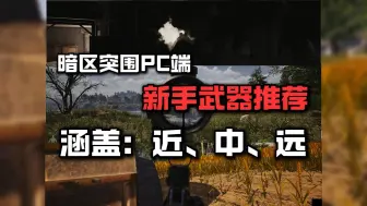 Download Video: 暗区突围pc端新手武器推荐，虽然不算热门但是也挺好用的，大家可以尝试一下