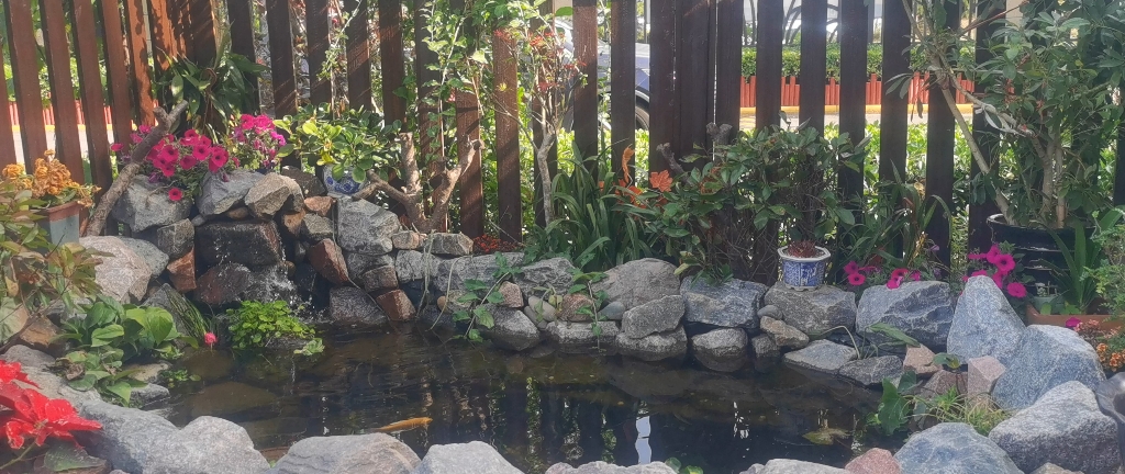 立体式生态锦鲤鱼池,水下,水面,水上全方位生态景观