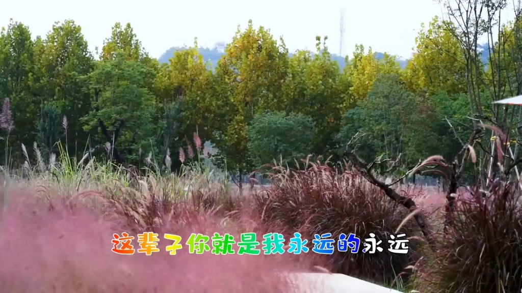 [图]《心中最美的风景》完整版