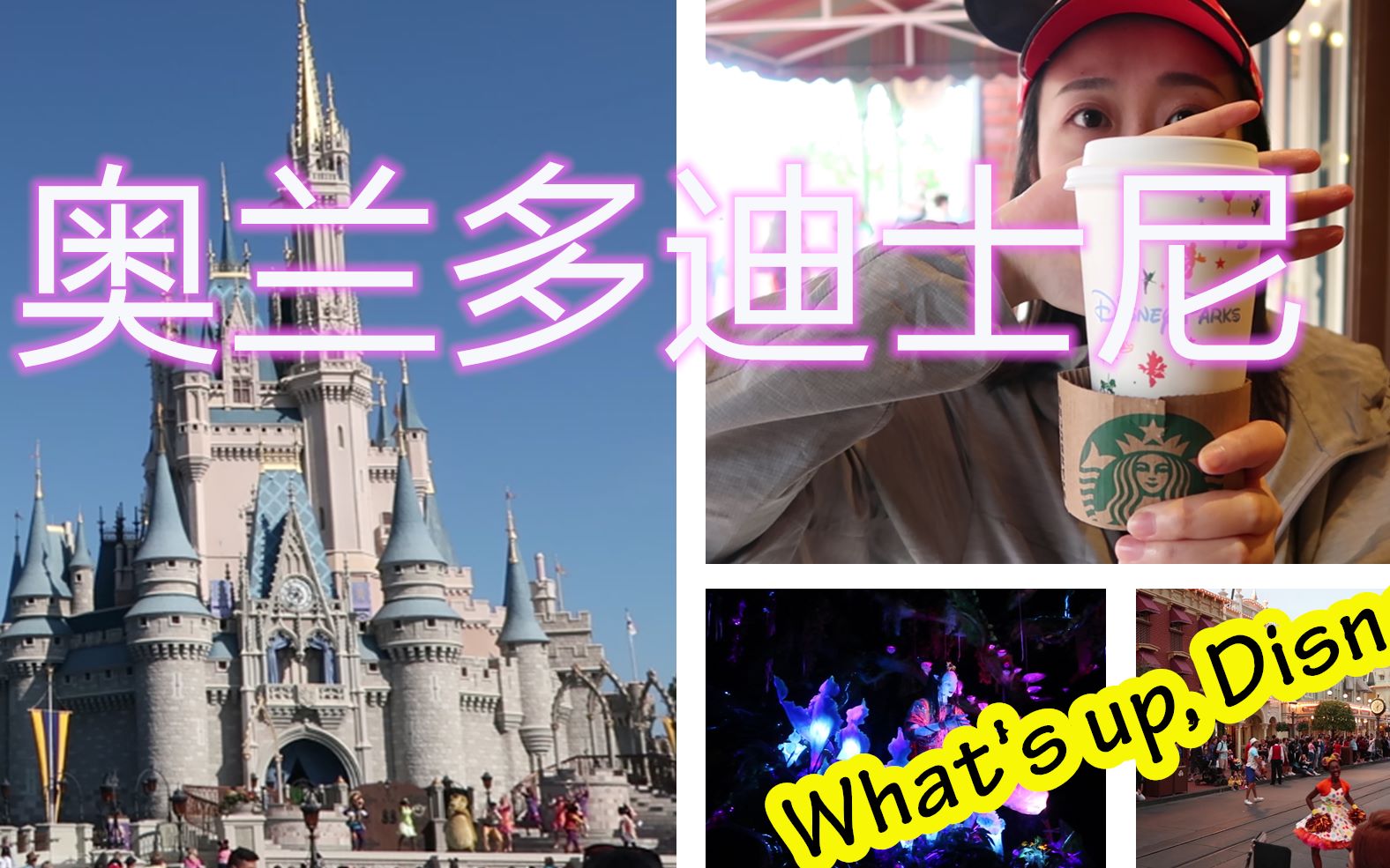 美国奥兰多迪士尼世界 | Disney World | 迪士尼乐园怎么玩 | 每天吃什么 | Magic Kingdom & Animal Kinddom &哔哩哔哩bilibili