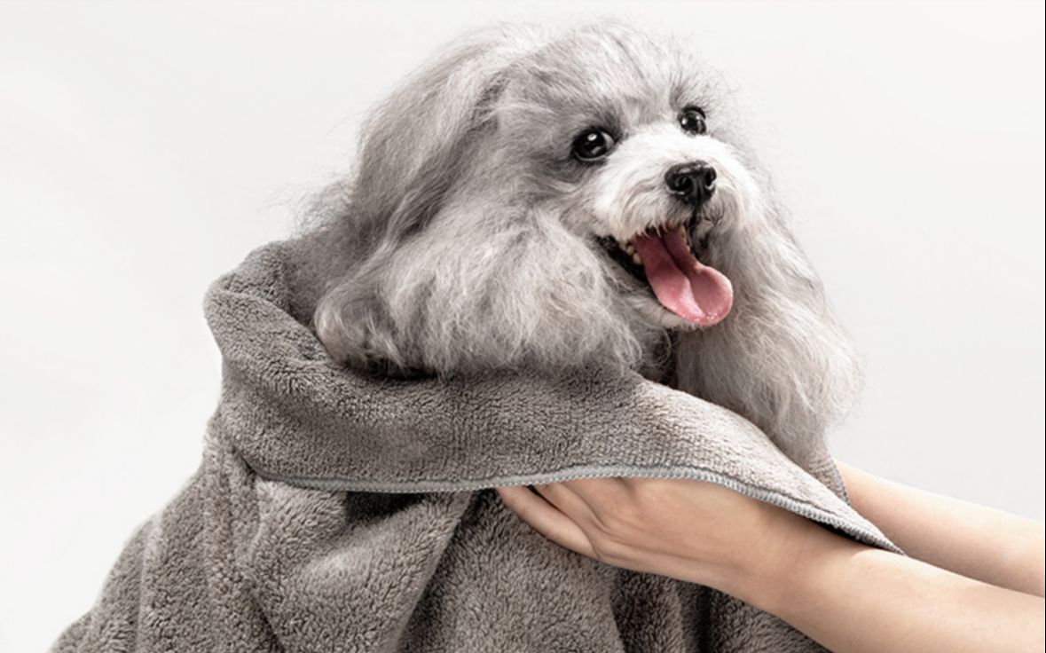 宠物浴巾-毛巾洗澡狗狗浴巾速干_哔哩哔哩 (゜-゜)つロ 干杯~-bili