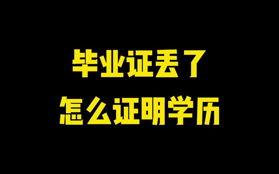 毕业证丢了怎么证明学历?哔哩哔哩bilibili