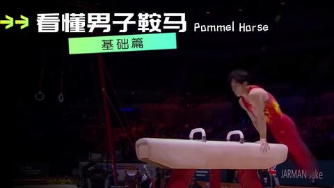 希少!!】 S41年~【整体操法中等講座】(五) 健康/医学 - education