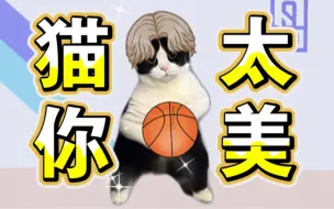 Download Video: 《猫你太美》