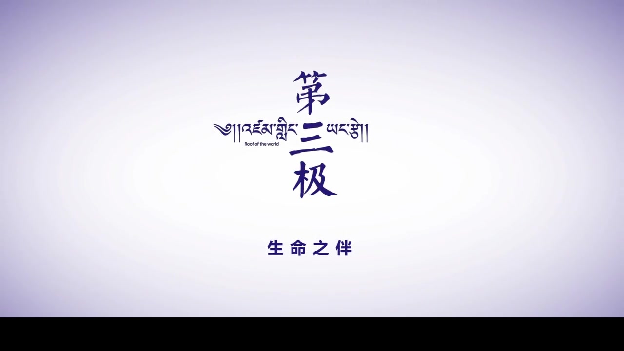 《第三极》纪录片解说哔哩哔哩bilibili