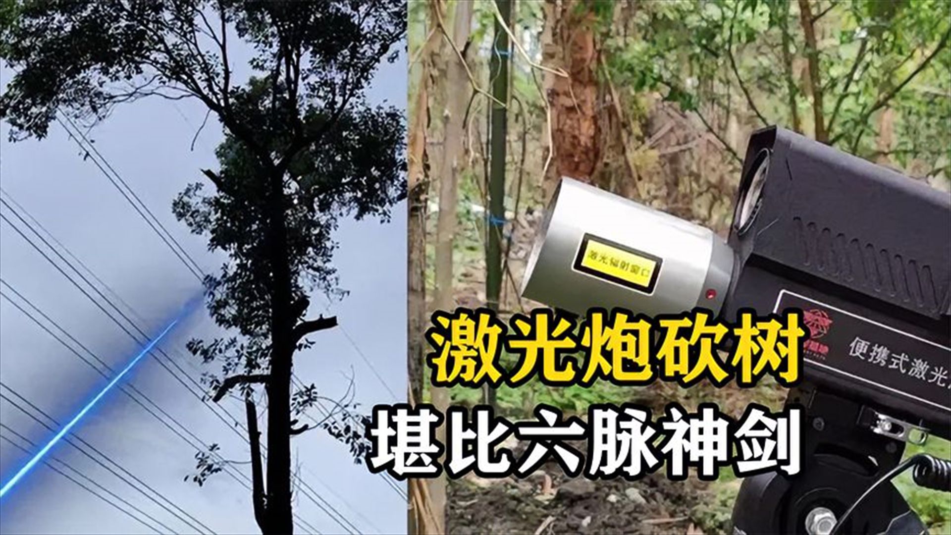 一炮一条树枝,激光炮砍树的原理是什么 全自动马儿跑步机,造价达1.