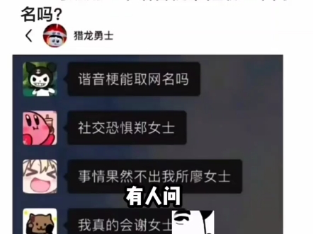 用谐音梗取个网名吗?哔哩哔哩bilibili