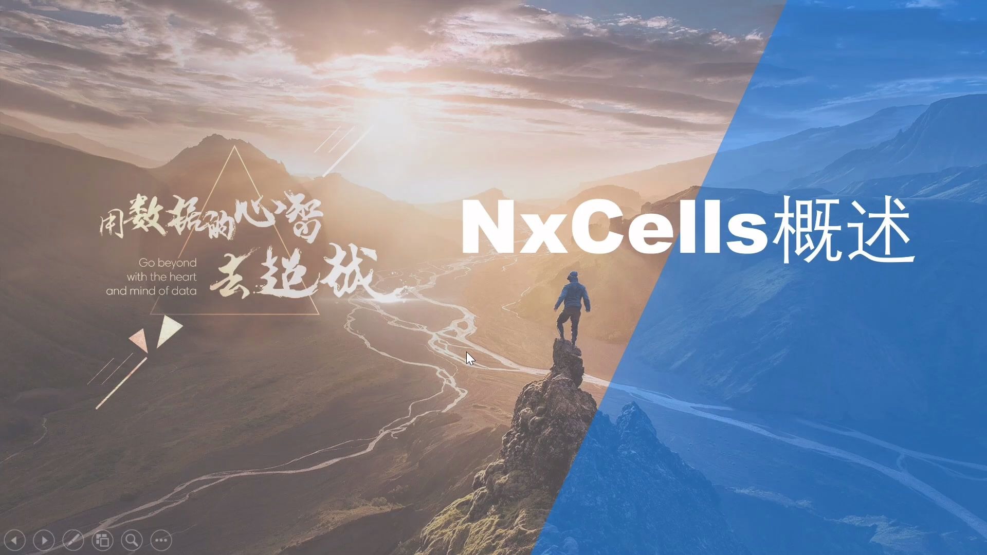 第一节 Nxcells概述哔哩哔哩bilibili