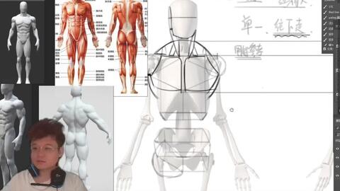 Human Figure Proportions - Anatomy Master Class 