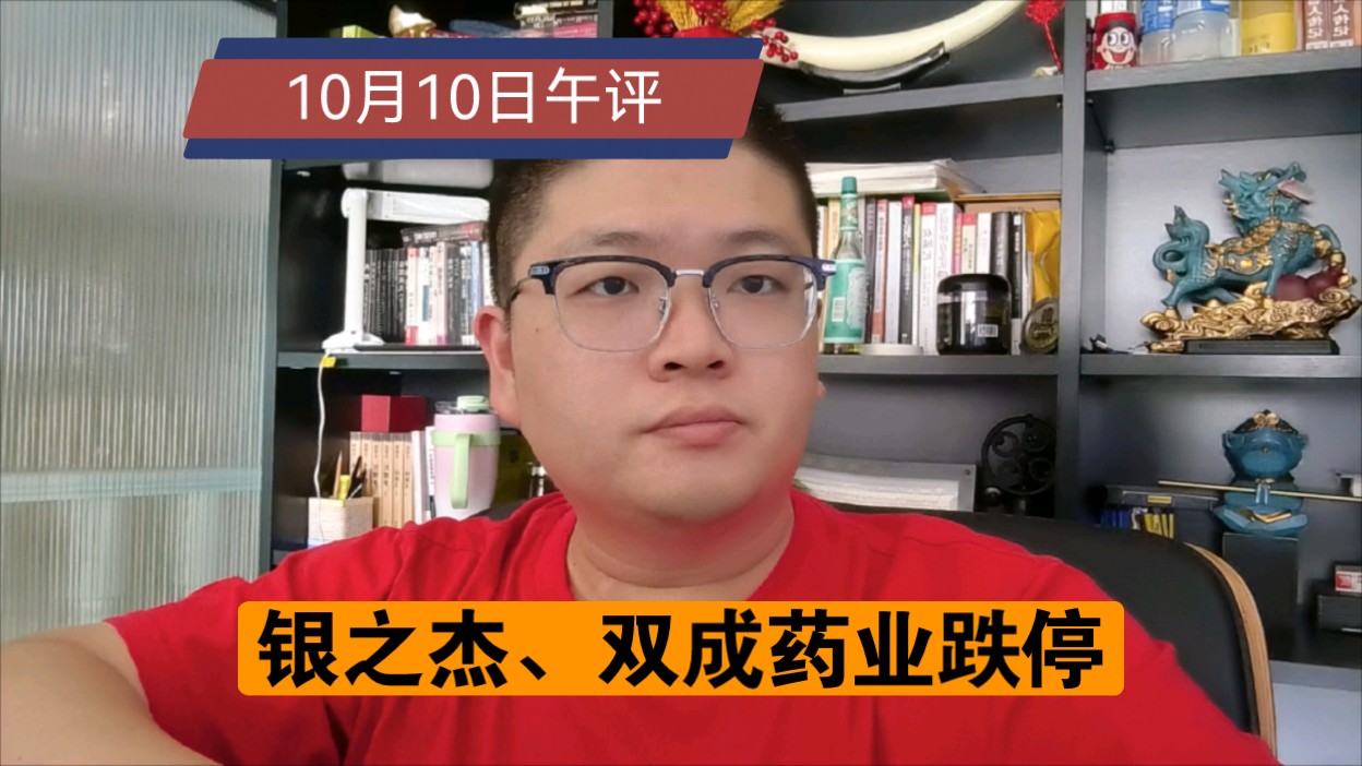 【10.10午评】指数企稳!人气股暴跌!银之杰、双成药业跌停哔哩哔哩bilibili