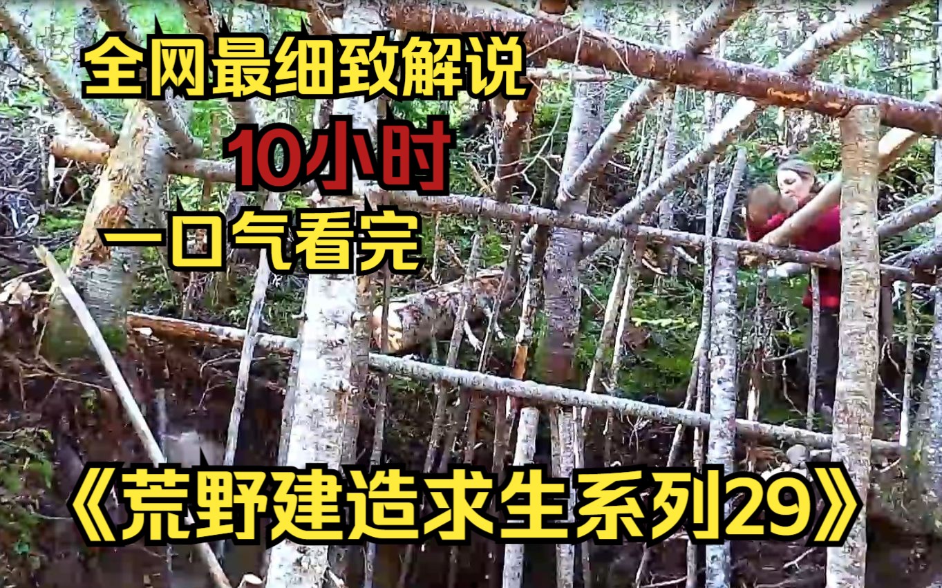 [图]【10小时】一口气看完《荒野建造求生系列29》9999部，看大神如何荒野变豪宅!助眠神视频，很少有人能坚持看完！