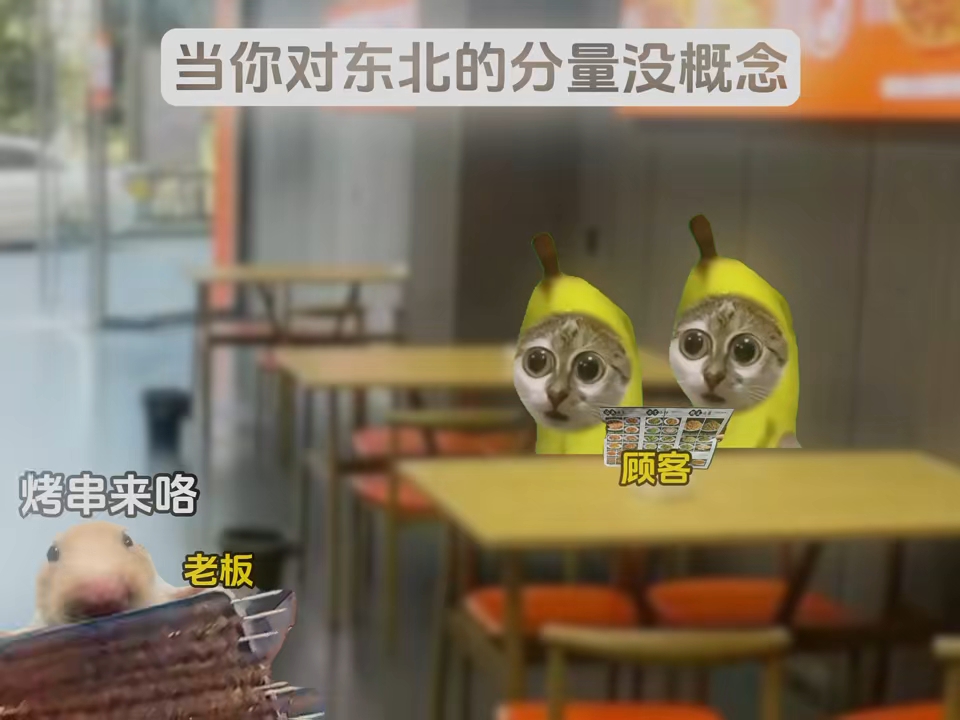 当顾客对东北的分量没概念时！#猫meme小剧场#真实还原#东北#搞笑