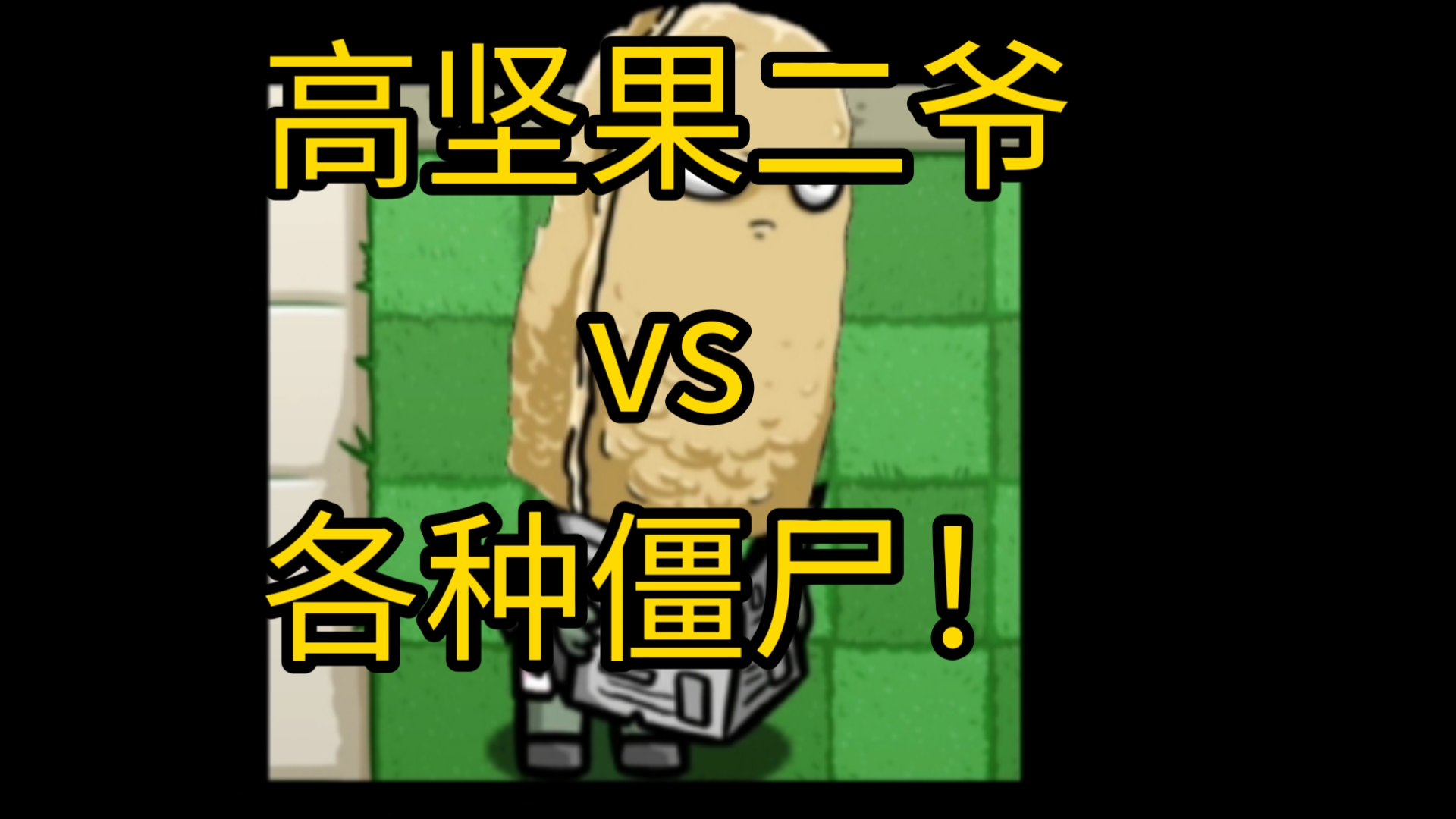 [pvz_bt]高坚果二爷vs各种僵尸