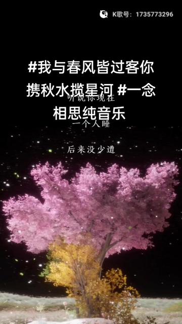 柔美的背景音乐 #总有一句话戳心
