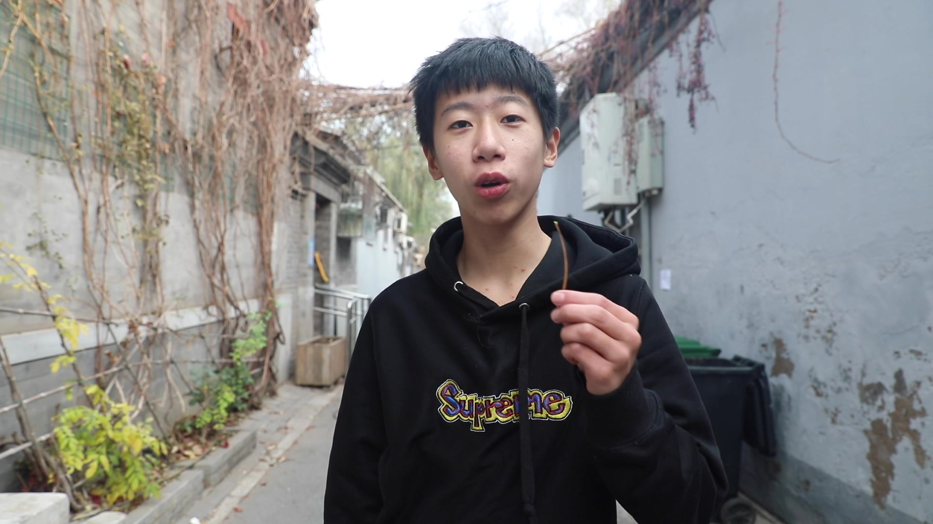 鼓楼人艺方喆作品拔根儿