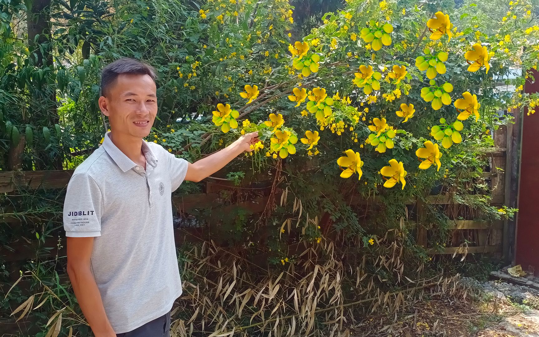 农村神奇的植物“蛇灭门”任何毒蛇遇见都要仓皇而逃,认识它的人又有多少?哔哩哔哩bilibili