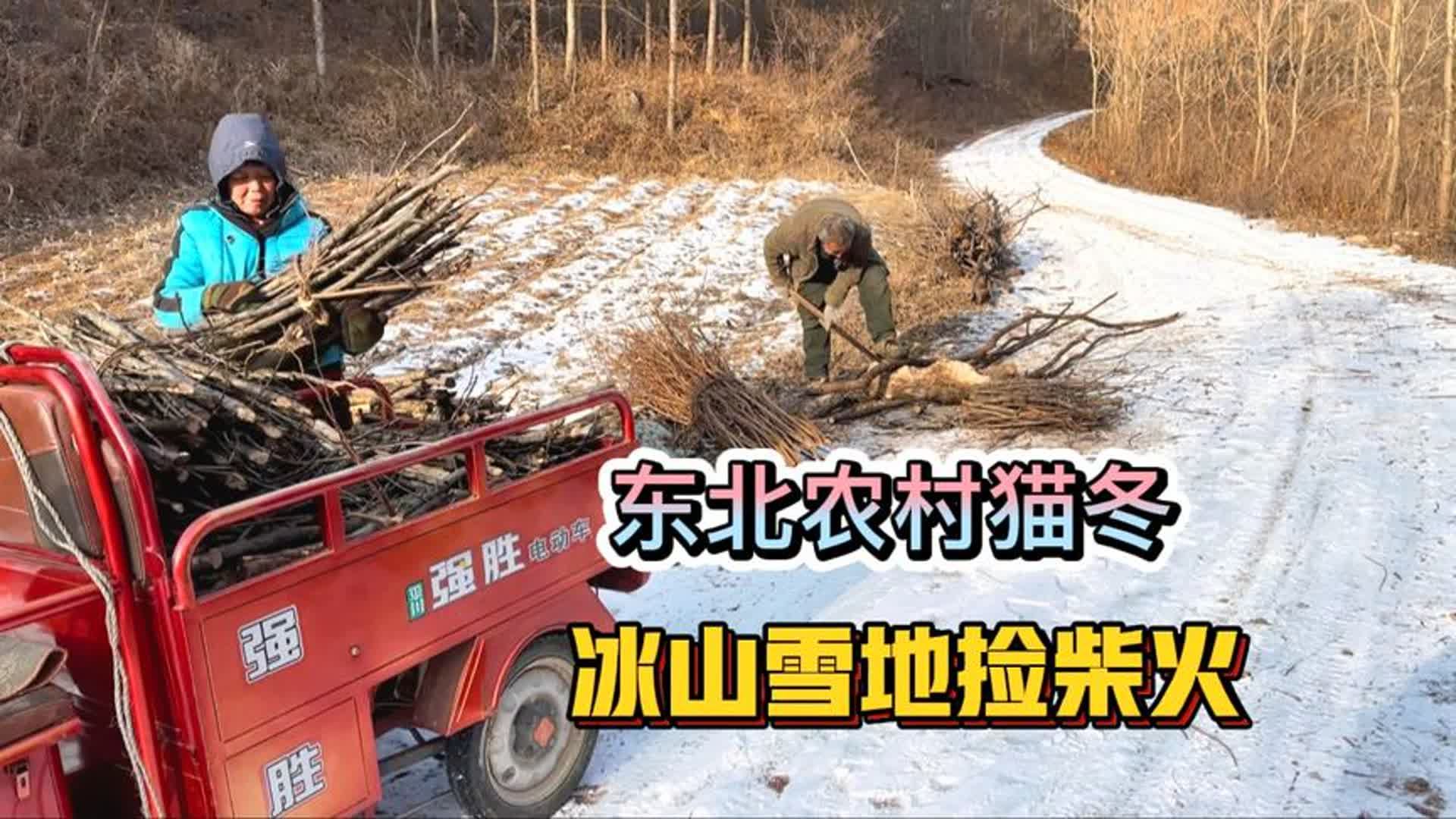 東北農村貓冬生活,窗戶粘上塑料布保溫,山裡撿柴火取暖