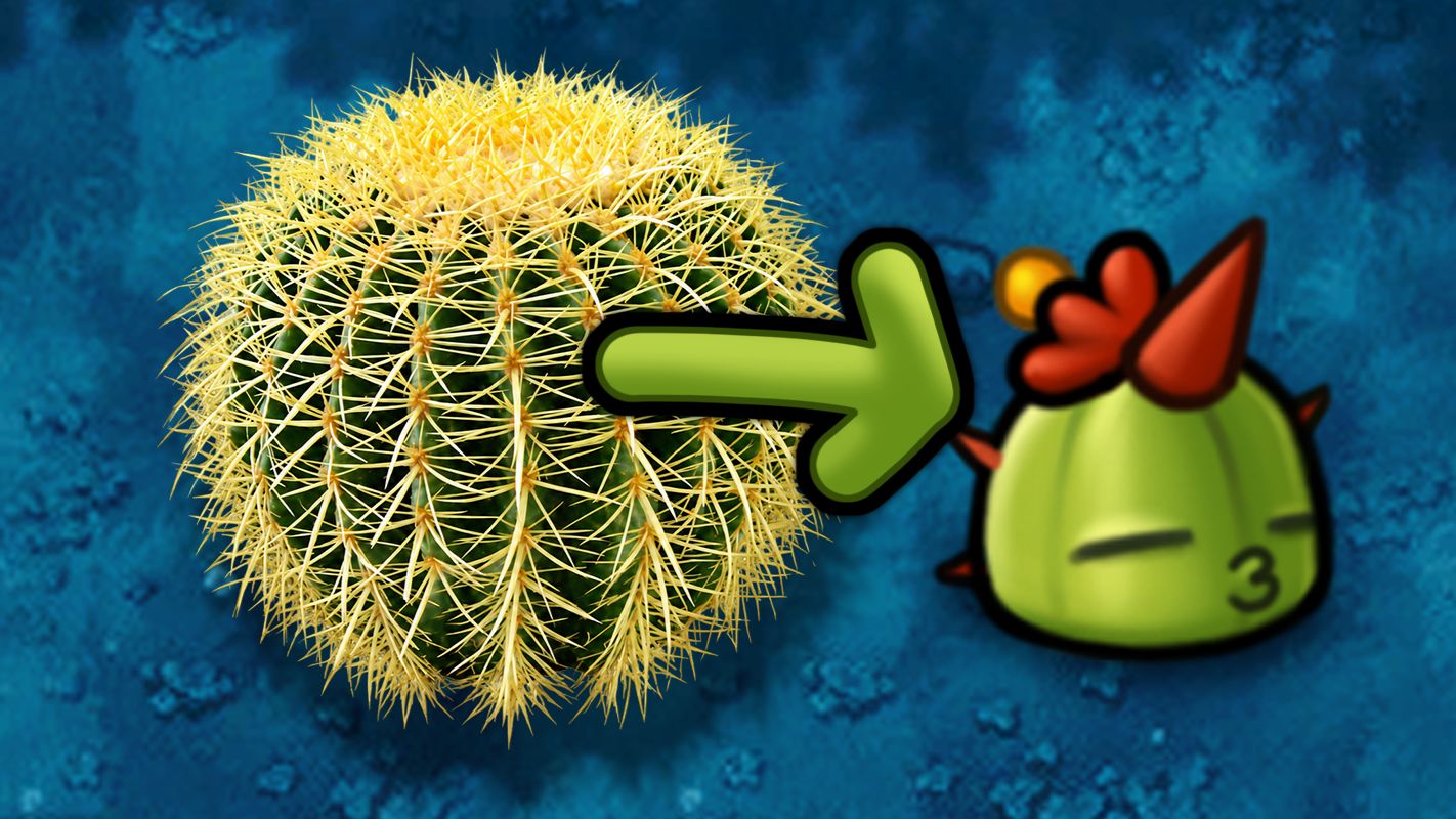 融合植物606：小仙人球！