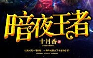 【有声小说】暗夜王者【完结】哔哩哔哩bilibili