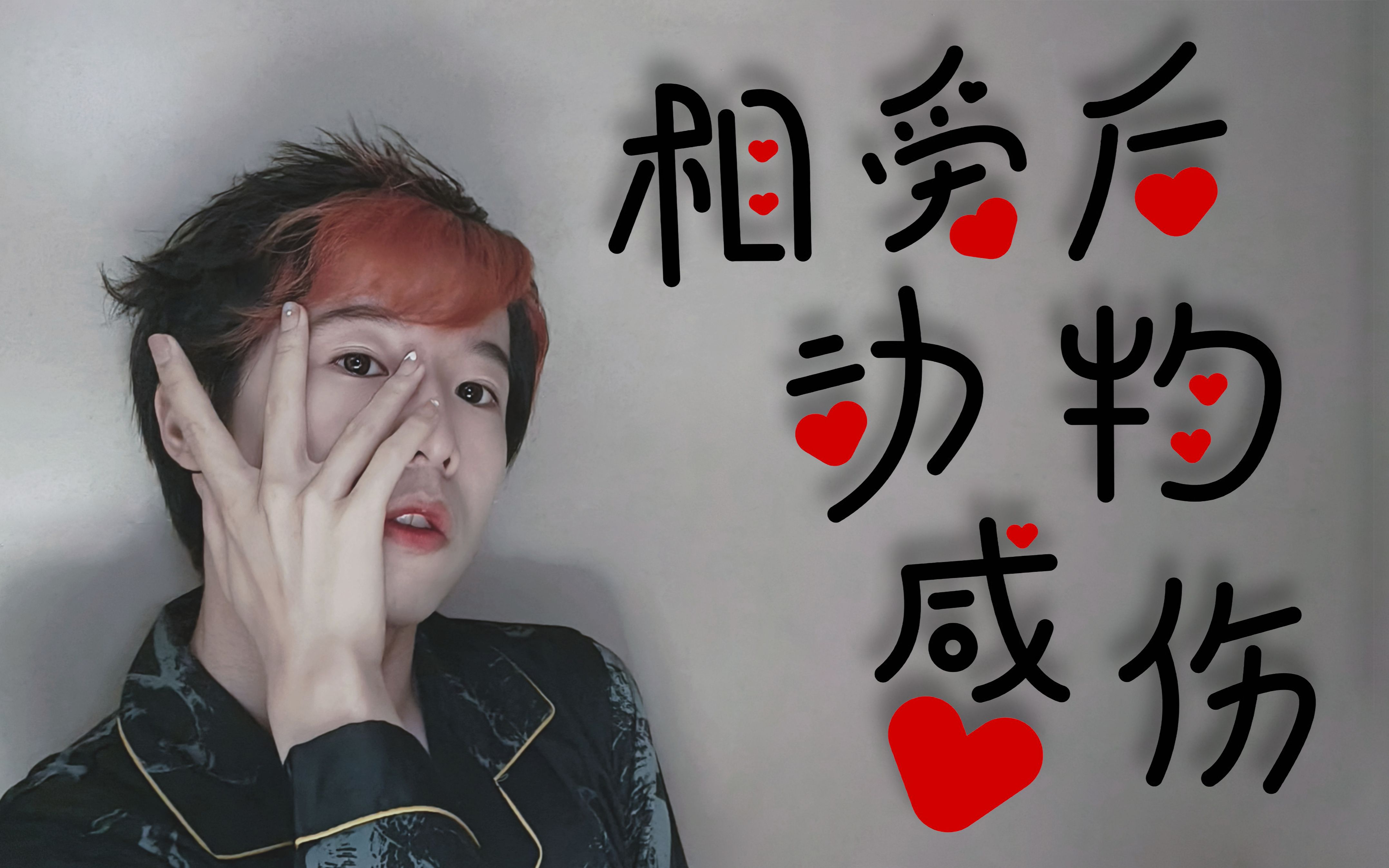 木木跳 | 《相爱后动物感伤》翻跳