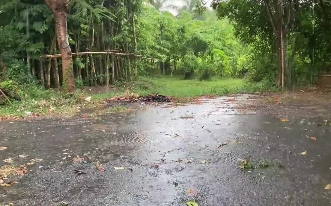 [图]像溪流一样的暴风雨围绕着森林中的农场