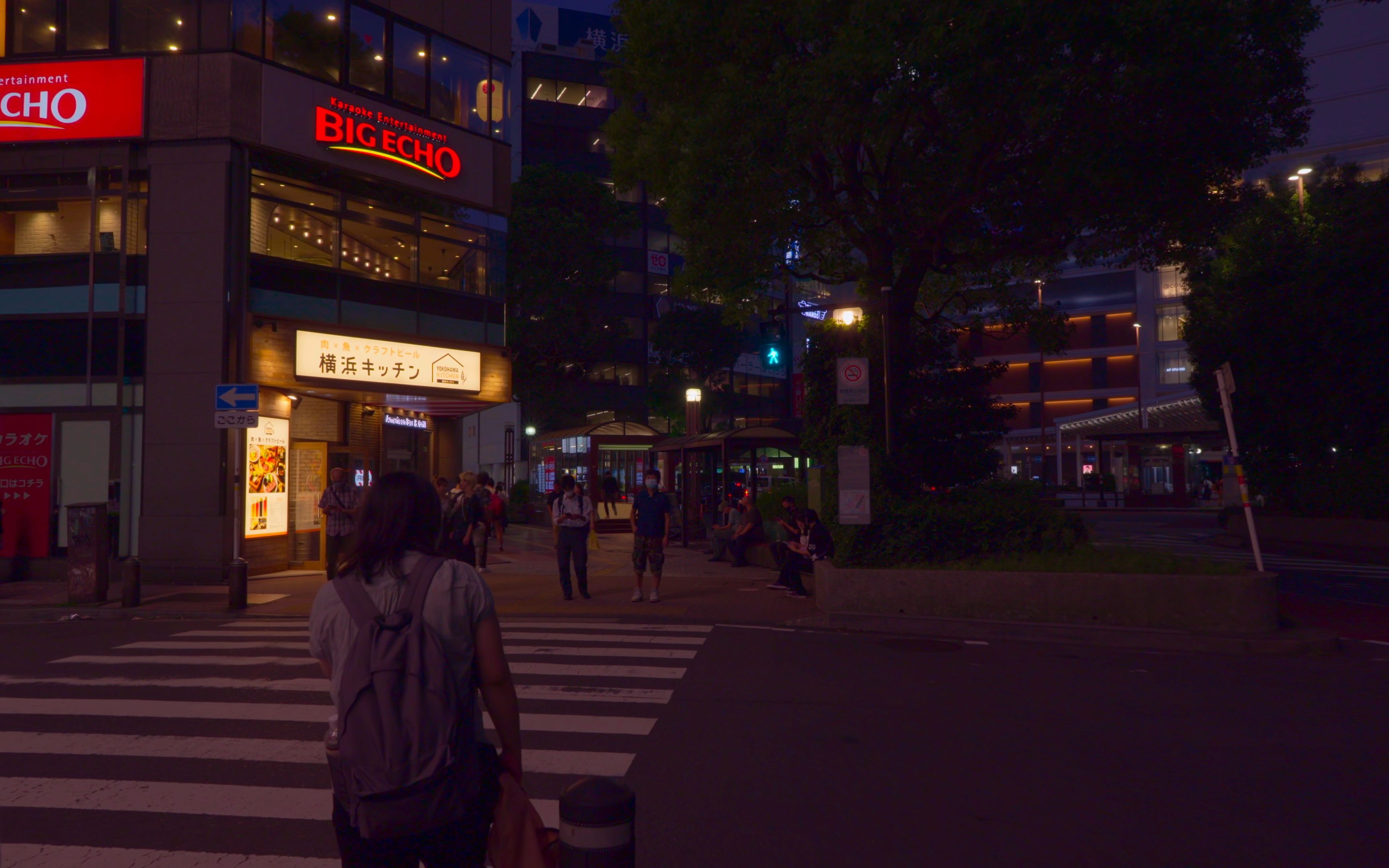 【超清日本】【神奈川县】【4K HDR】2023 横滨市 晚上在横滨站周边散步哔哩哔哩bilibili