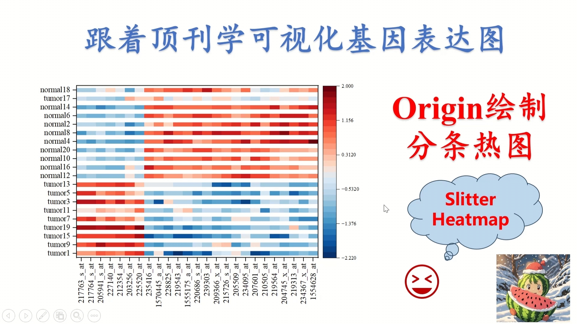 Origin绘制分条热图跟着顶刊学可视化基因表达图哔哩哔哩bilibili